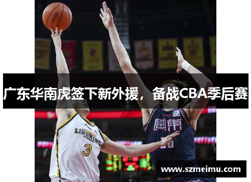 广东华南虎签下新外援，备战CBA季后赛