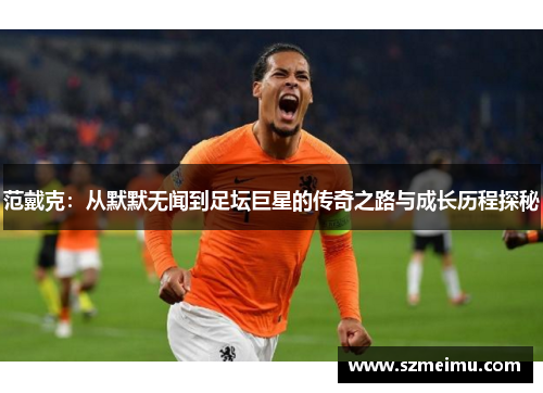 范戴克：从默默无闻到足坛巨星的传奇之路与成长历程探秘