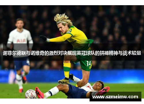 谢菲尔德联与诺维奇的激烈对决展现英冠球队的拼搏精神与战术较量