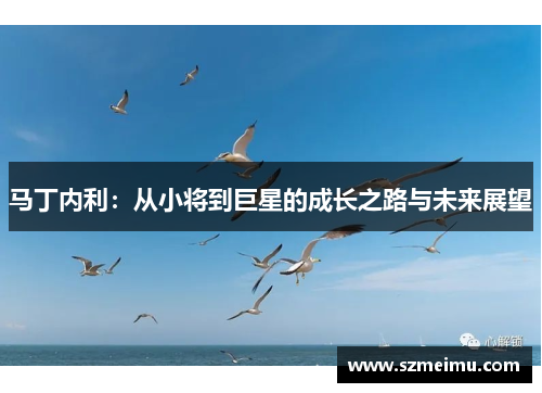 马丁内利：从小将到巨星的成长之路与未来展望